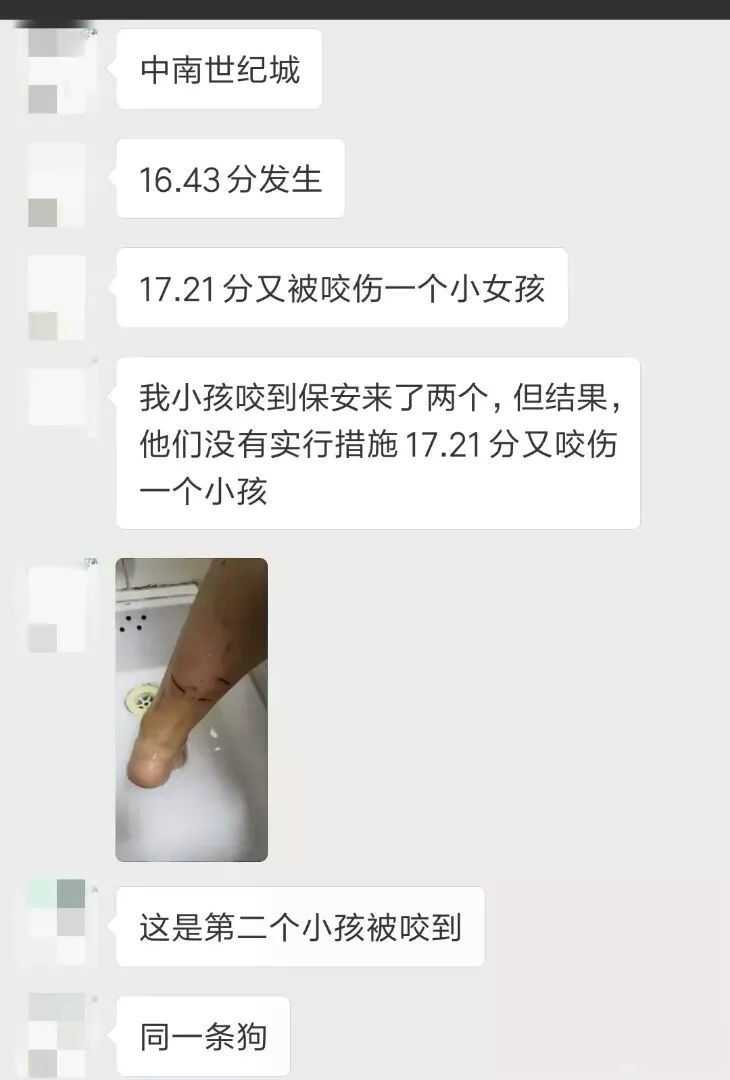 00453.jpg