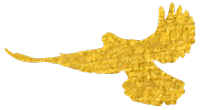 01092.png